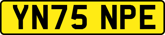 YN75NPE