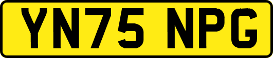 YN75NPG