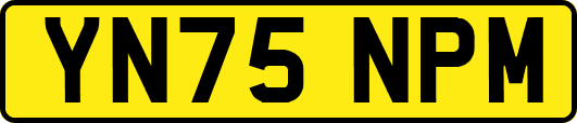 YN75NPM