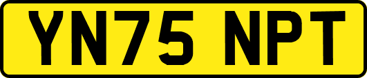 YN75NPT