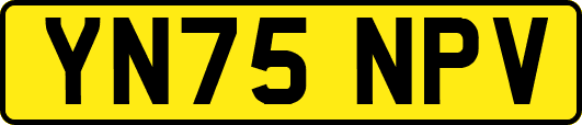 YN75NPV