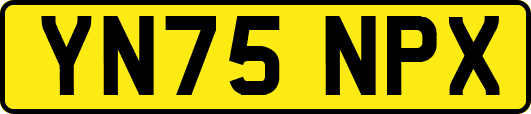 YN75NPX