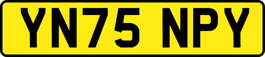 YN75NPY