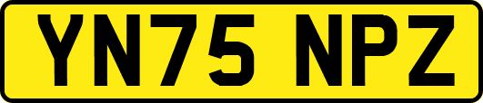 YN75NPZ