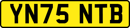 YN75NTB