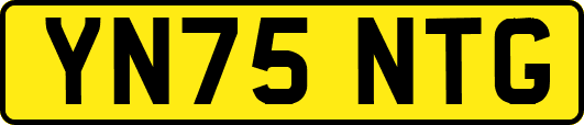 YN75NTG