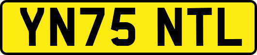 YN75NTL