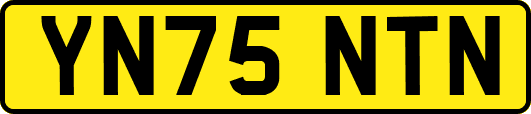 YN75NTN