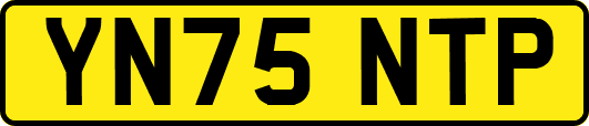 YN75NTP