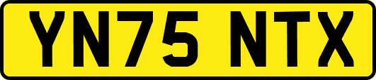 YN75NTX