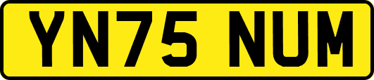 YN75NUM