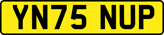 YN75NUP