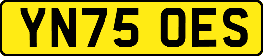 YN75OES