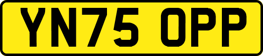 YN75OPP