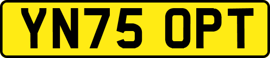 YN75OPT