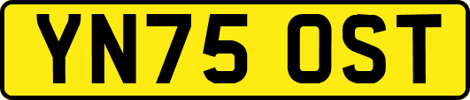 YN75OST