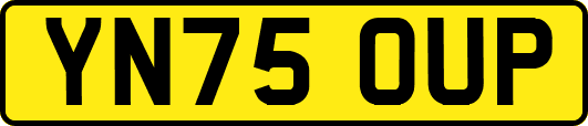 YN75OUP