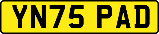YN75PAD