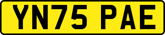 YN75PAE