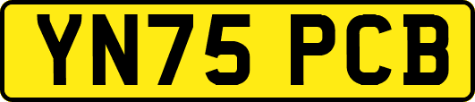 YN75PCB