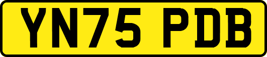 YN75PDB