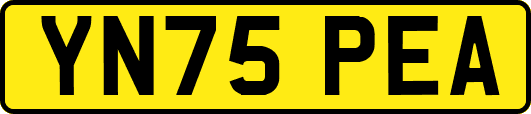 YN75PEA