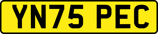 YN75PEC