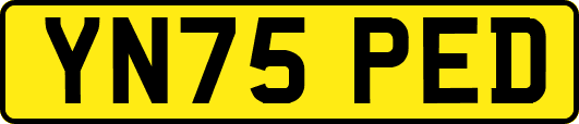 YN75PED