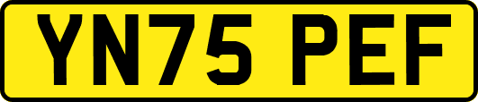 YN75PEF