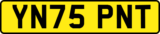 YN75PNT