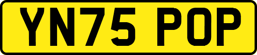 YN75POP