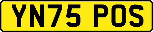 YN75POS
