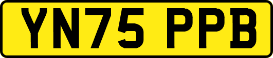 YN75PPB