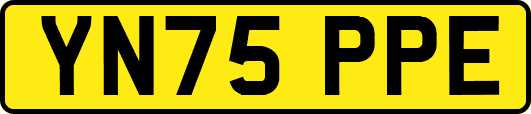 YN75PPE