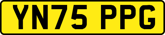 YN75PPG