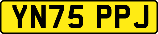 YN75PPJ