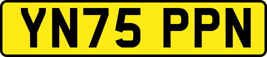 YN75PPN