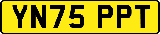 YN75PPT