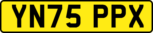 YN75PPX