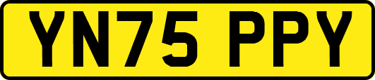 YN75PPY