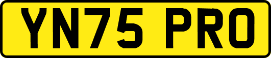 YN75PRO