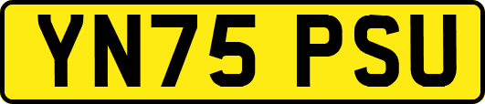YN75PSU
