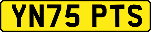 YN75PTS