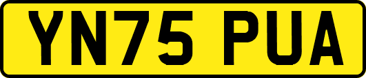 YN75PUA