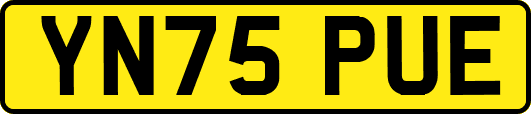 YN75PUE