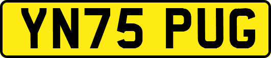 YN75PUG