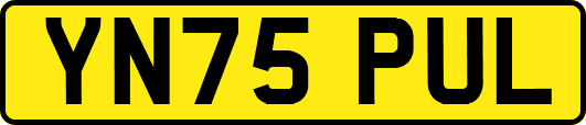 YN75PUL