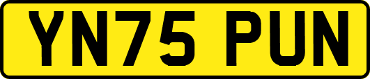 YN75PUN