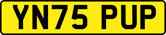 YN75PUP