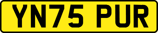YN75PUR